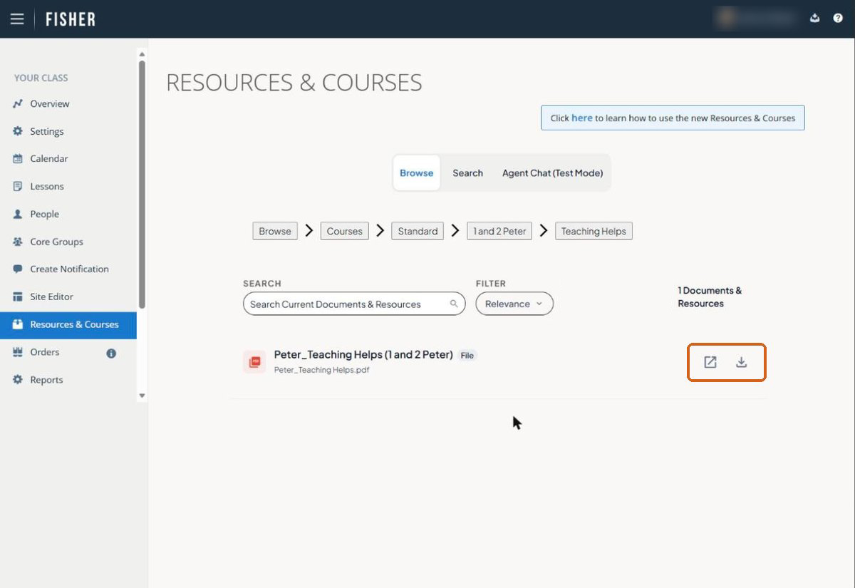 A single PDF file row with the preview and download icons outlined at the right.